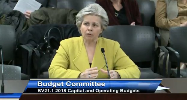 woman on budget committee speaking