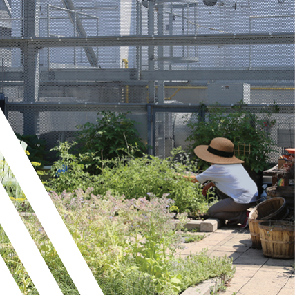 woman gardening rooftop